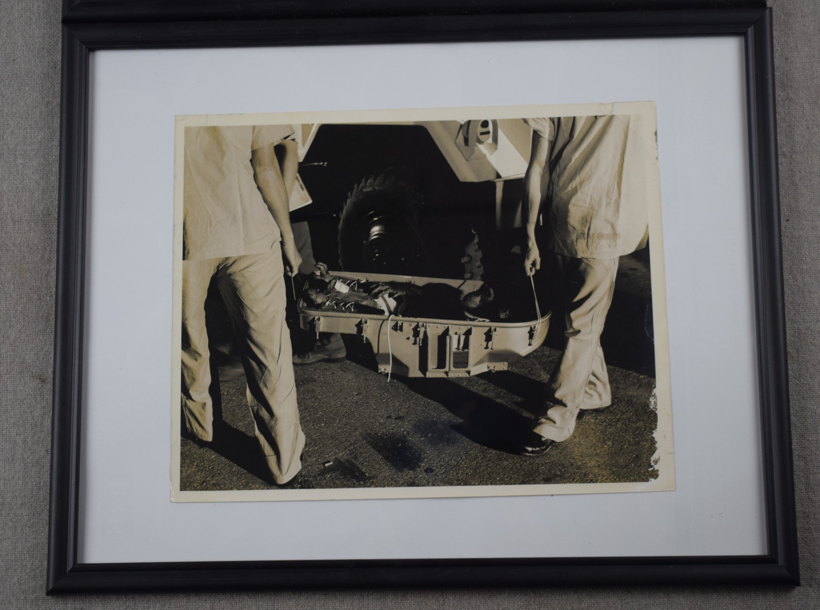 Lot of 3 1961 Ham First Space Chimp Press Photo Post Launch 8 x 10 Type 1 NASA