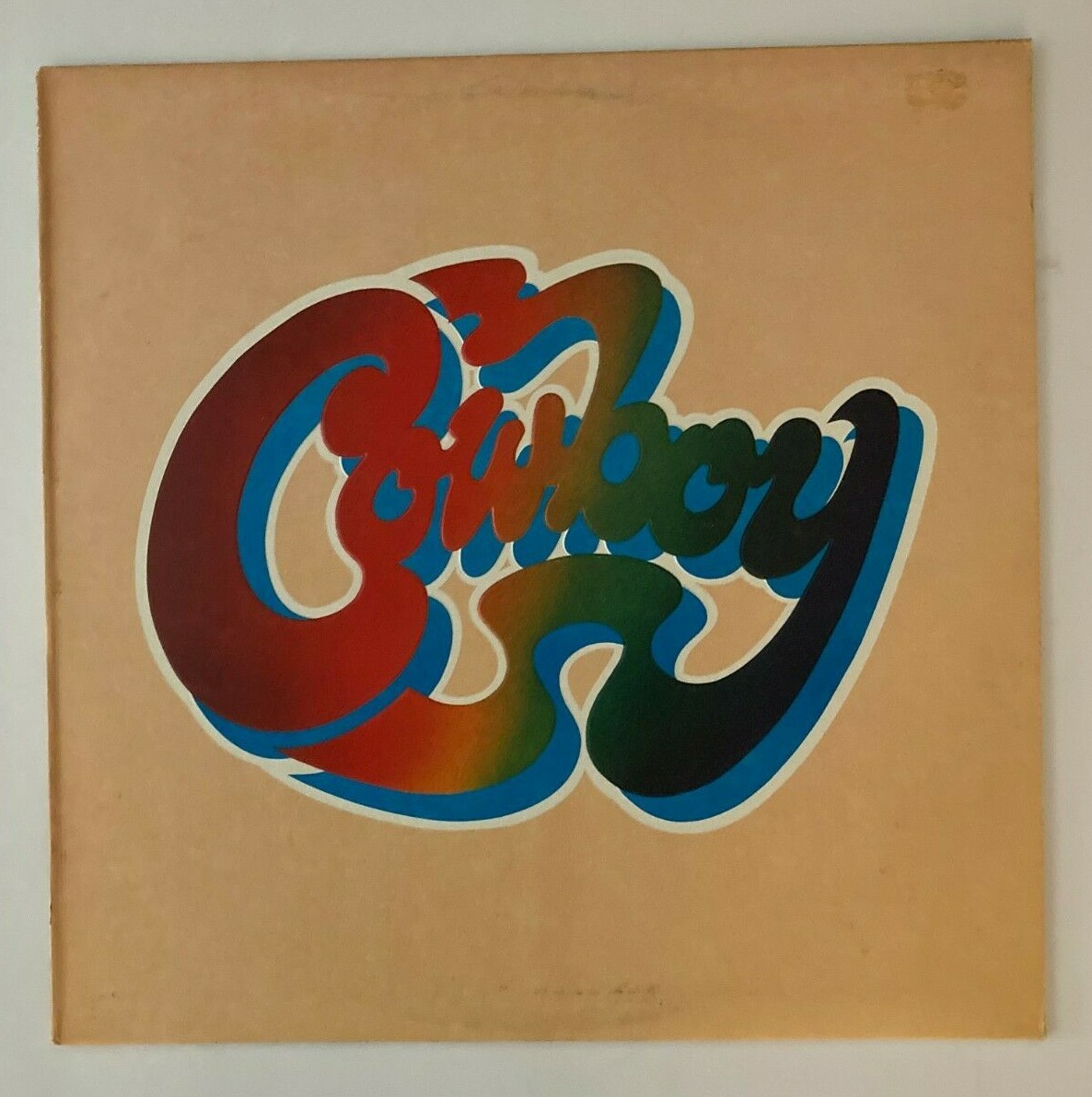 COWBOY PROMO LP 1977 CAPRICORN RECORDS CPN0194 SCOTT BOYER