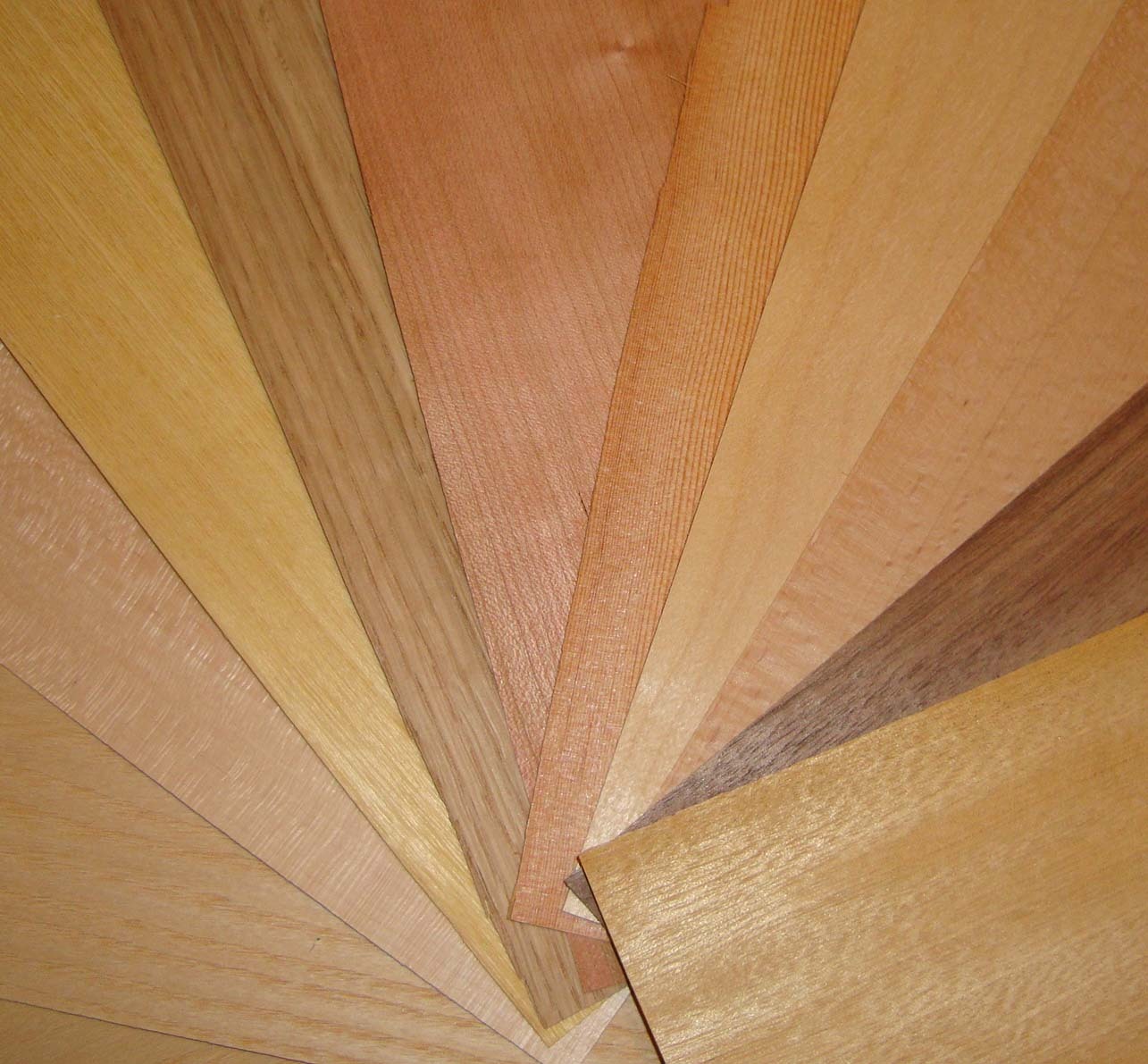 Wood Veneer Samples eBay