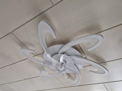 Foto dell'oggetto di un acquirente verificato