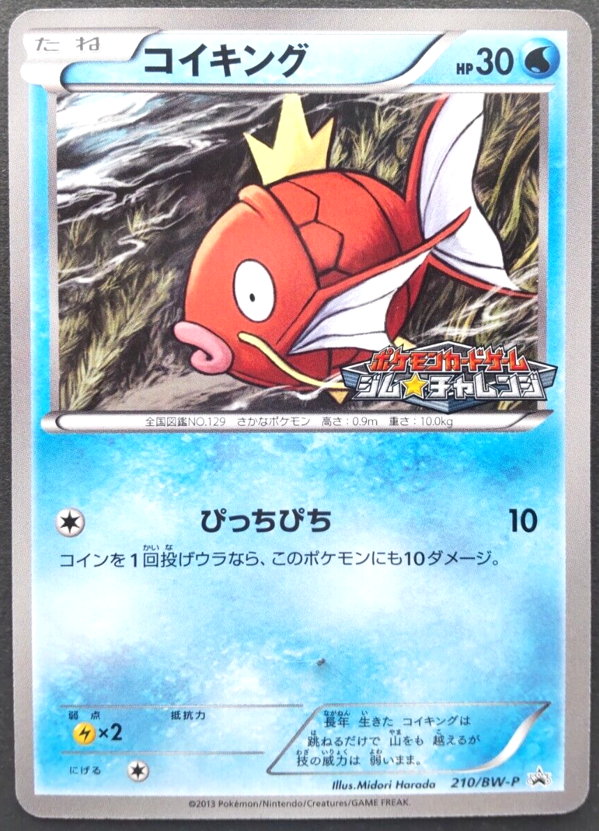 世界296枚 PSA10 コイキング magikarp カードe 2001 18 Yahoo!オークション - 2001 ポケモンカード WEB PSA 10
