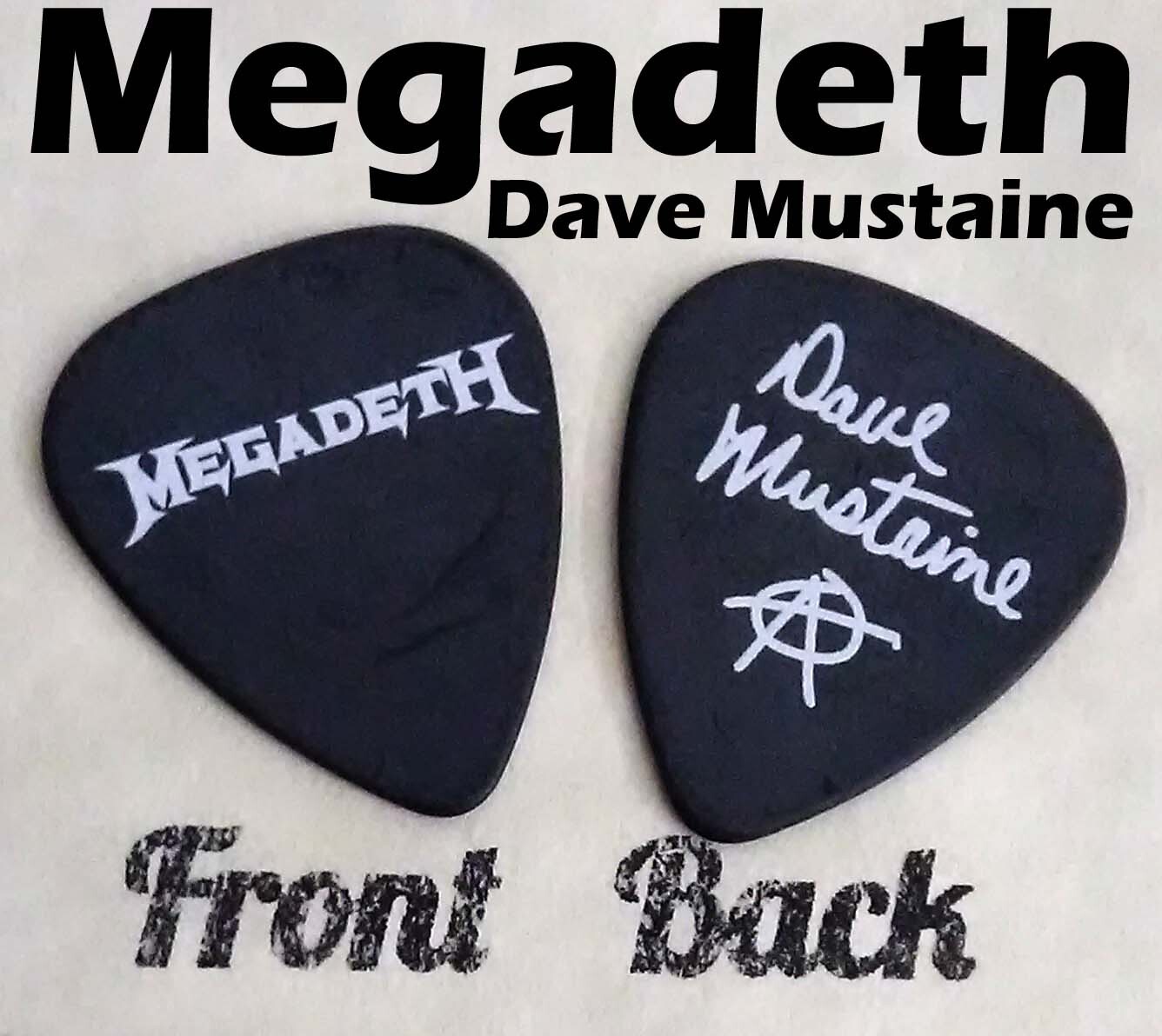 【希少】 Dave Matthews Band ギターピック Dave Matthews Band Tour Signature Guitar Pick Concert Stage
