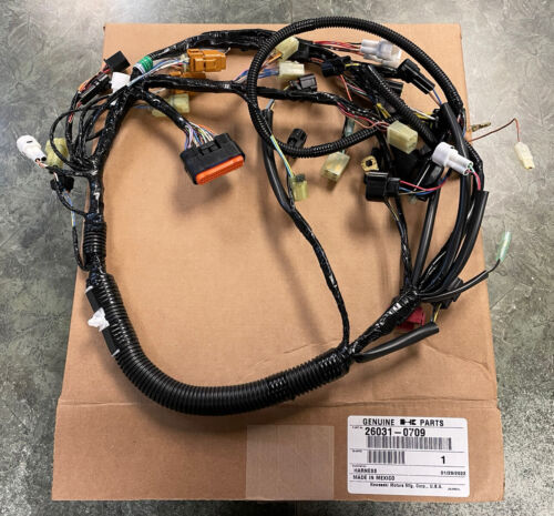 2009 Kawasaki KFX450R Main Wire Harness Assembly Genuine OEM 2009 Kawasaki KFX450R Main Wire Harness Assembly Genuine OEM