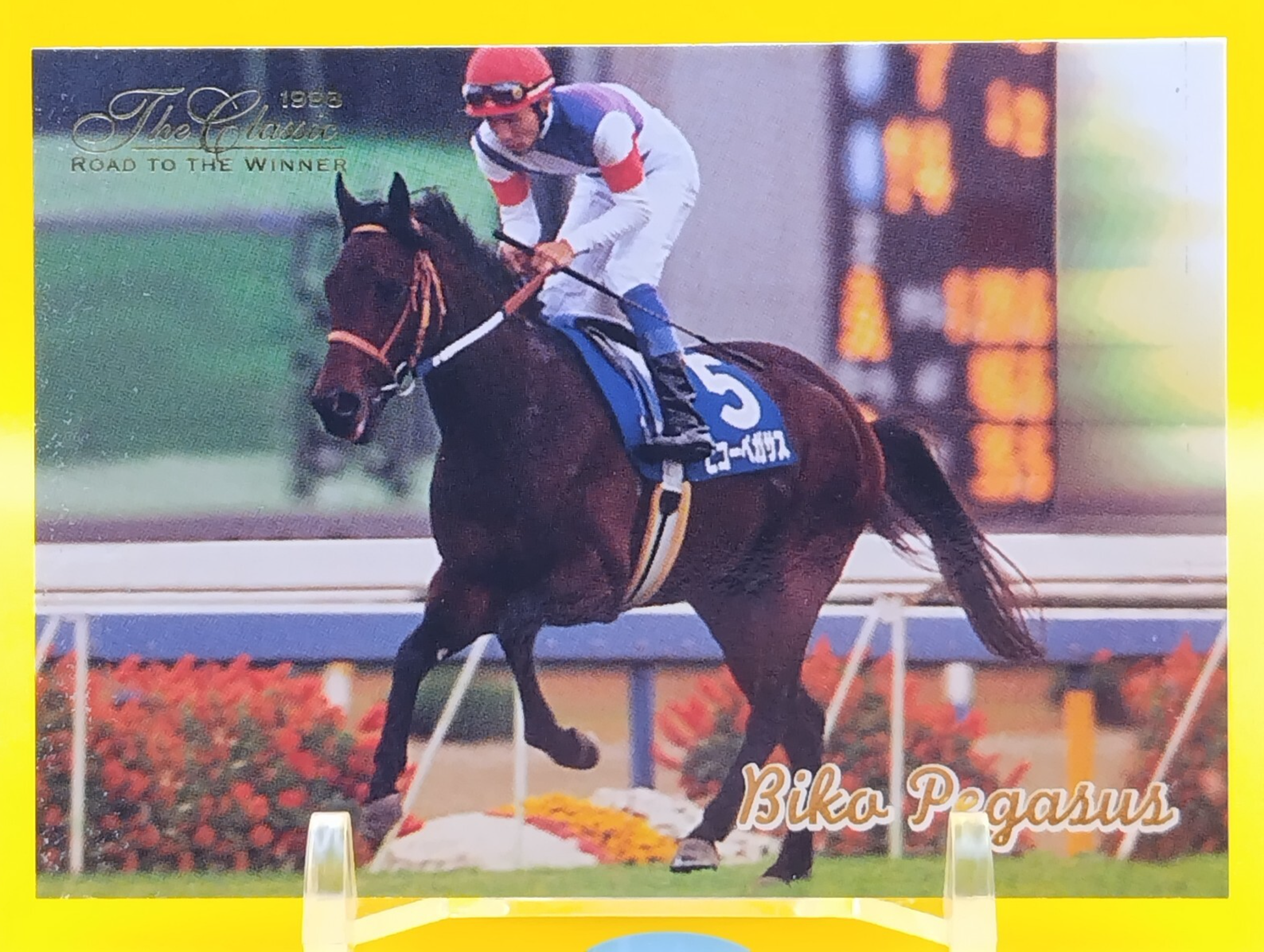 その他 EPOCH HORSE RACING TRADING CARDS Texas Waipon - Thoroughbred Horse Racing Trading Card