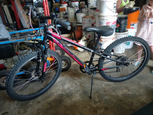 malvern star mustang 24