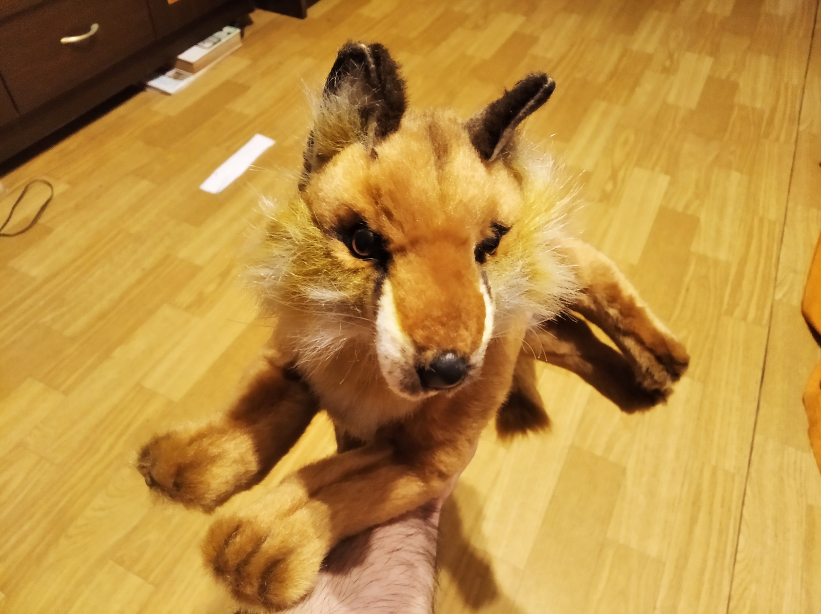 Hansa Lying Fox 6087 Plush Soft Toy Sold by Lincrafts Established 1993 | eBay