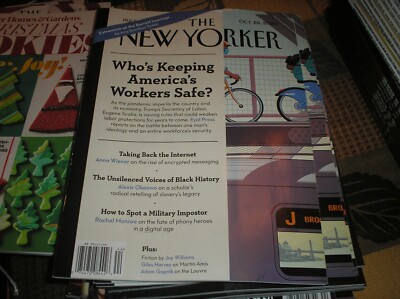 the NEW YORKER  magazine  oct. 26,2020 Who's keeping America's Workers safe C-10
