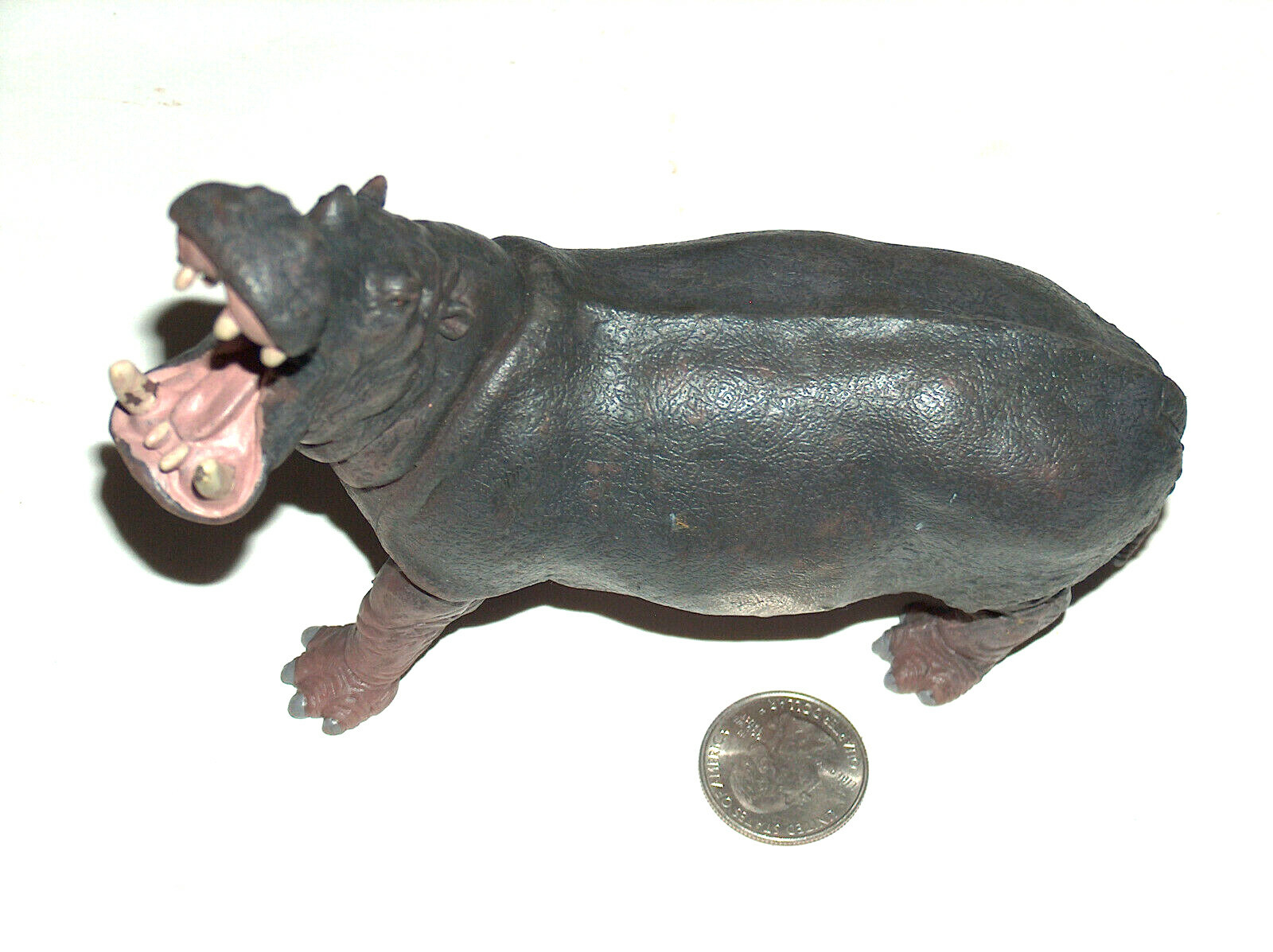 papo 動物フィギュアセット（11種） 61gtM3Pf1YL._UF350,350_QL80_.jpg