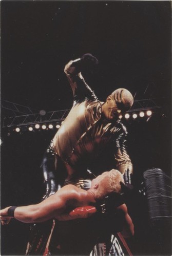 1999 Comic Images WWF WrestleMania Live! - Goldust #34