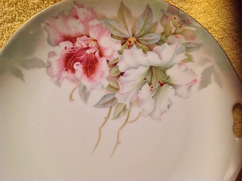 Vintage Dual Handle China Cake Plate #7 P V Vessra Germany Hand Painted