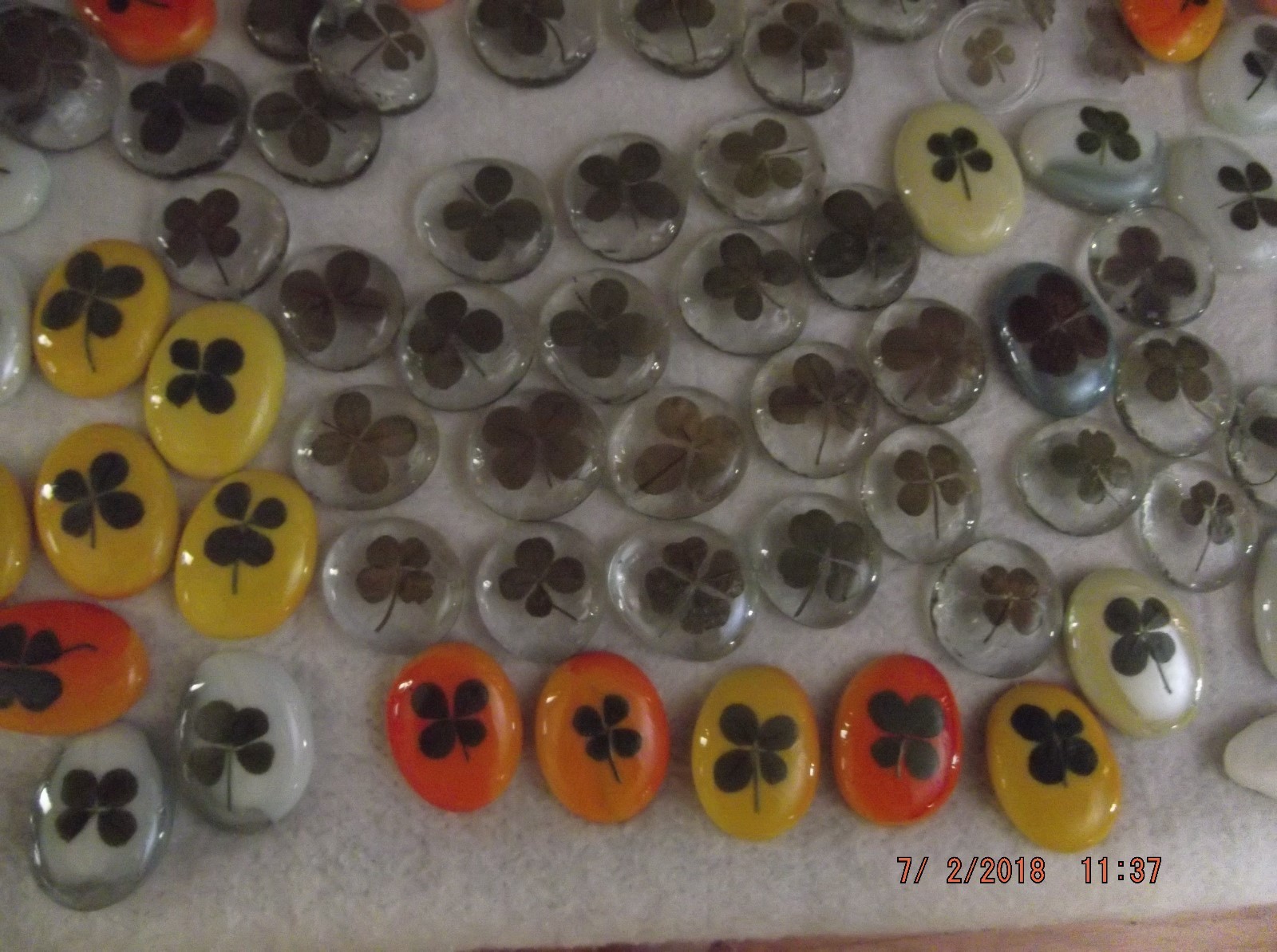 Lucky 4 leaf clovers