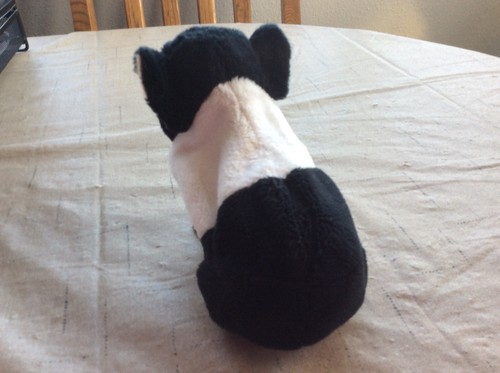 Furreal Friends Guinea Pig. Black And White Newborn Guinea Pig Interactive