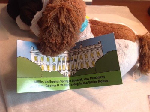 2019 White House PETS CALENDAR + BUSH Toy DOG + CLINTON CAT Plush Pets