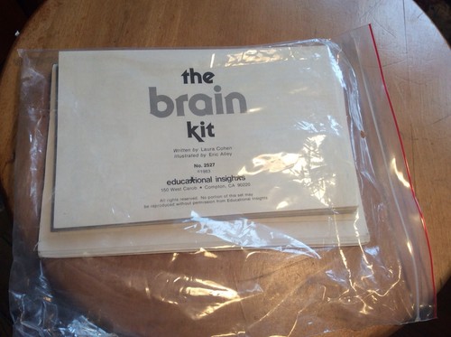 Vtg Educational Insights Life Size Human Brain Kit W /Manual Very Good