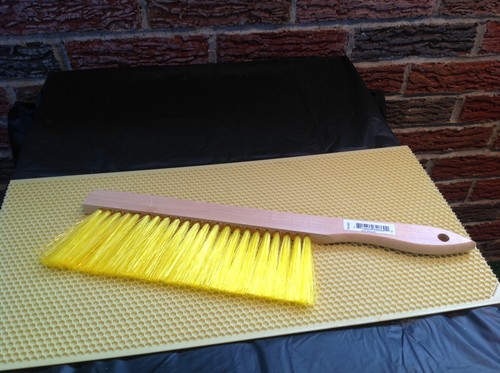 Let's start Beekeeping Kit ,Everything you need to get started