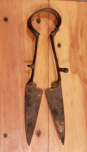 Vintage Antique Unmarked Hand Sheep Shears Clippers Cutters Farm Tool 13