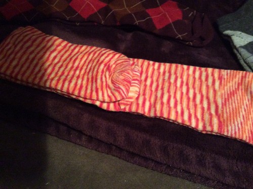 No Brand Lot of 3 Youth Girls  Cotton Blend Socks NWOT