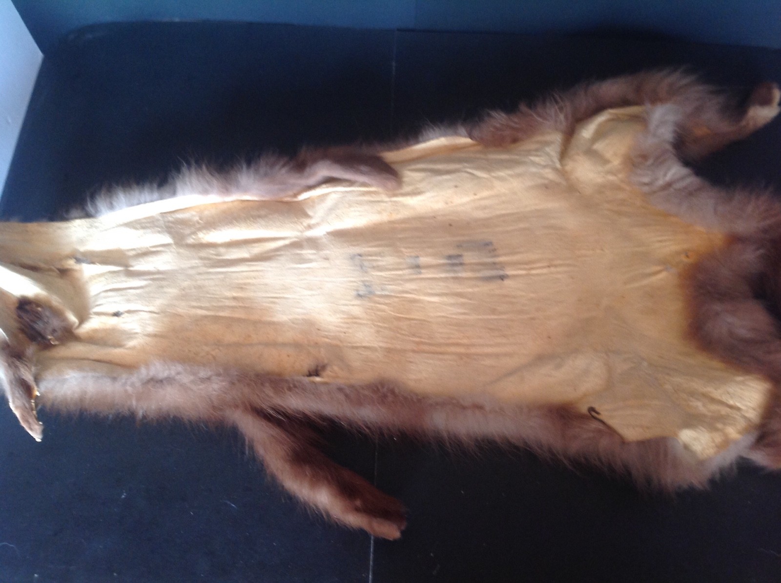 REAL FOX FUR PELT TAXIDERMY 48