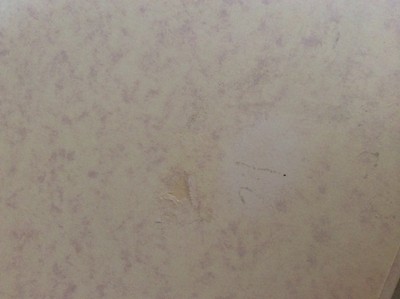 Our Family  Photo Album Colour Library Books