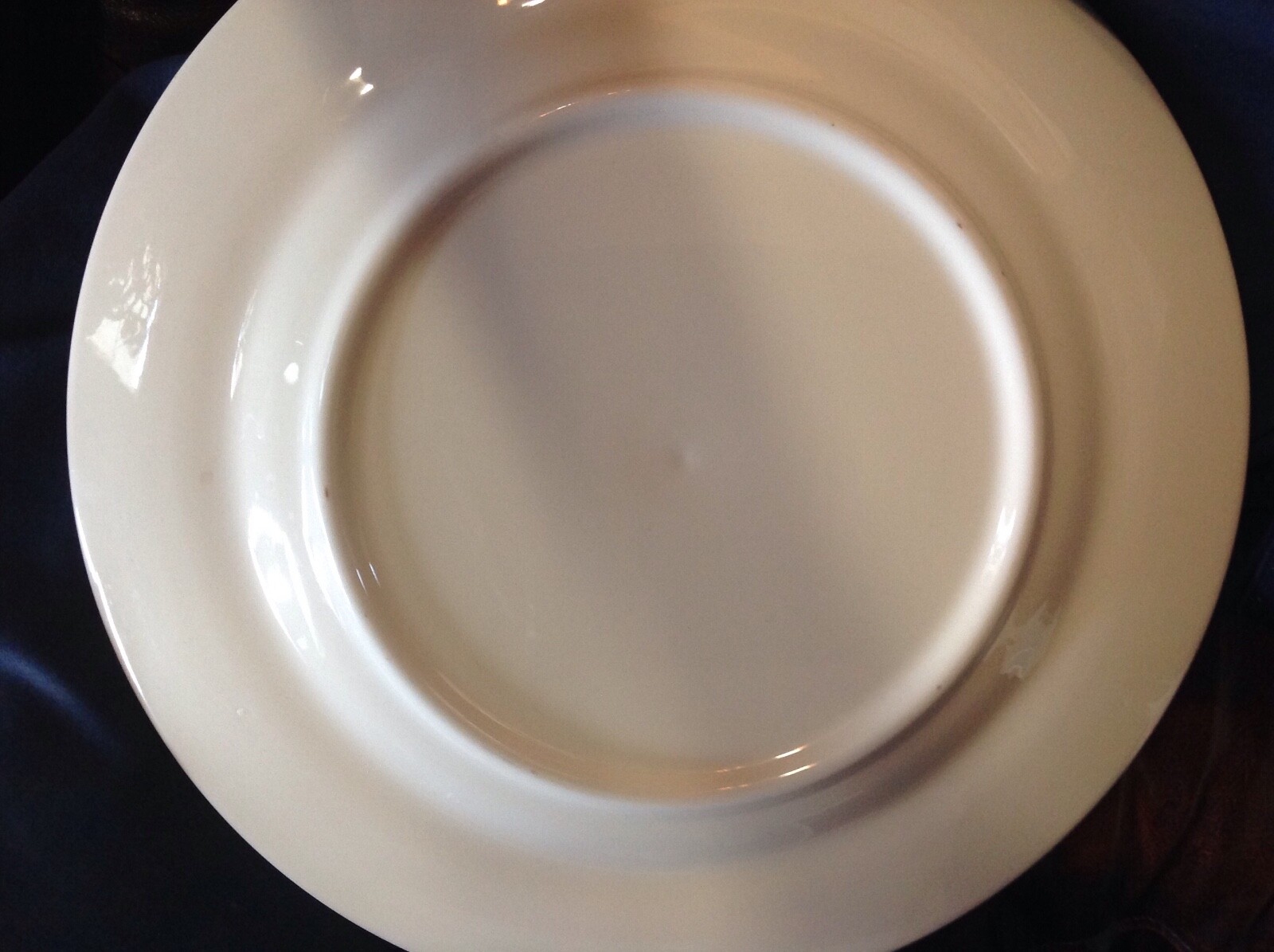 World Famous Budweiser Clydesdale Gold Trimmed Plate  amazing detail