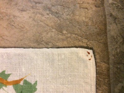 Vtg Calendar Tea Kitchen Towel Birds Cardinal Bluebird Estate Sale 1981 Cottage