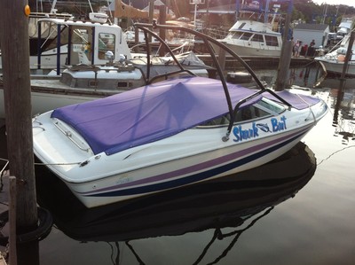 1996 Baja Islander 208 with new Mercruiser 5.0 MPI includes tower & trailer 21'