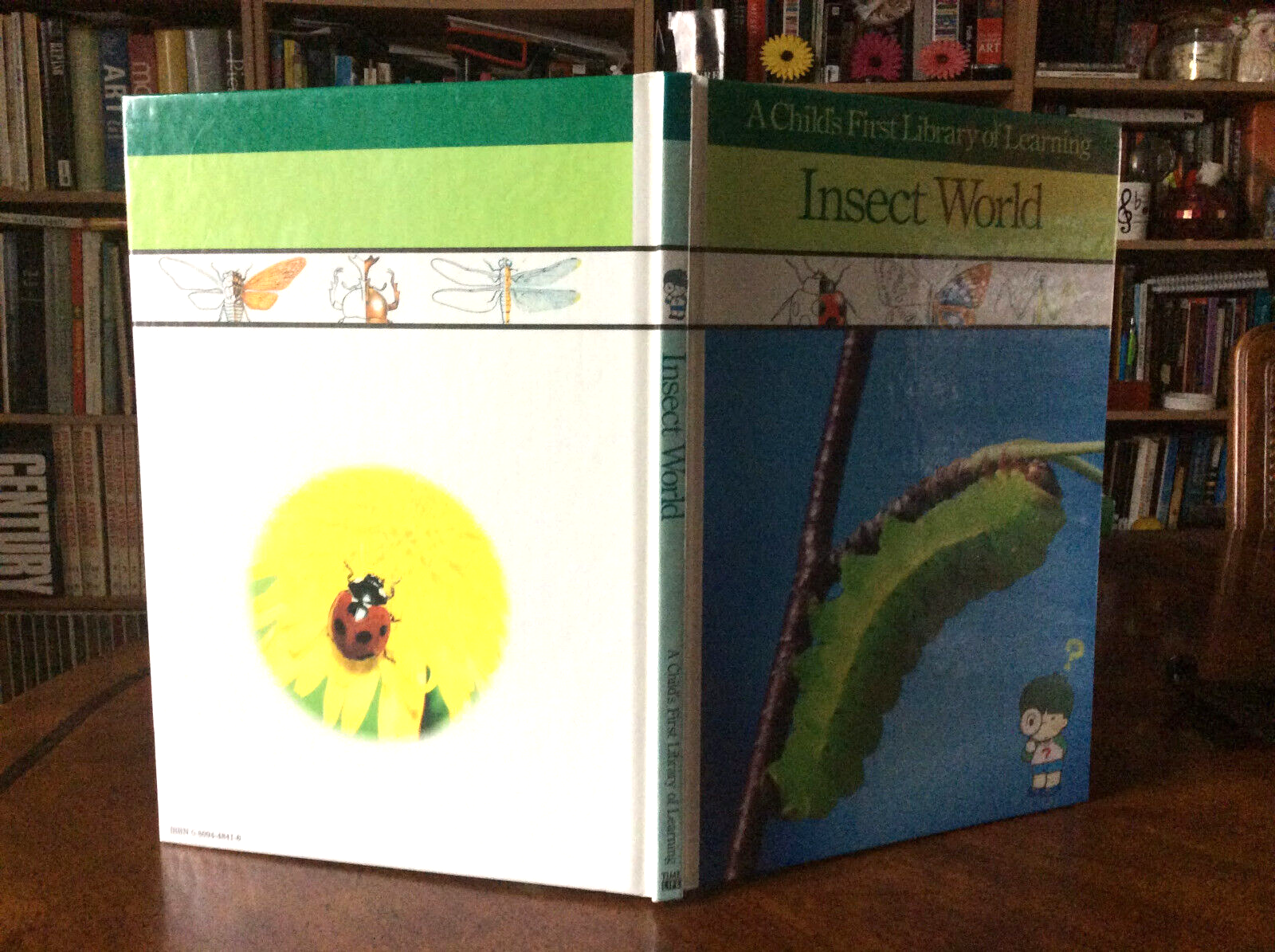 A Child's First Library of Learning Insect World (1988