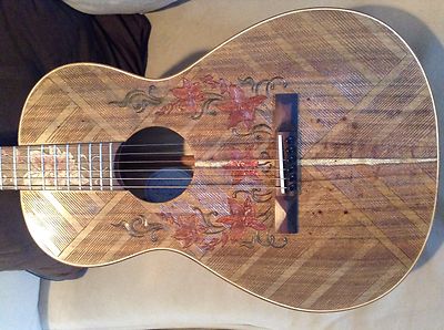 Custom Blueberry Acoustic Guitar!