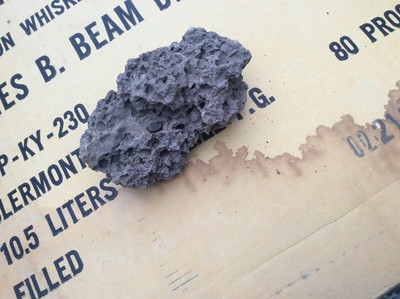 Nice 4” Fossil coral?