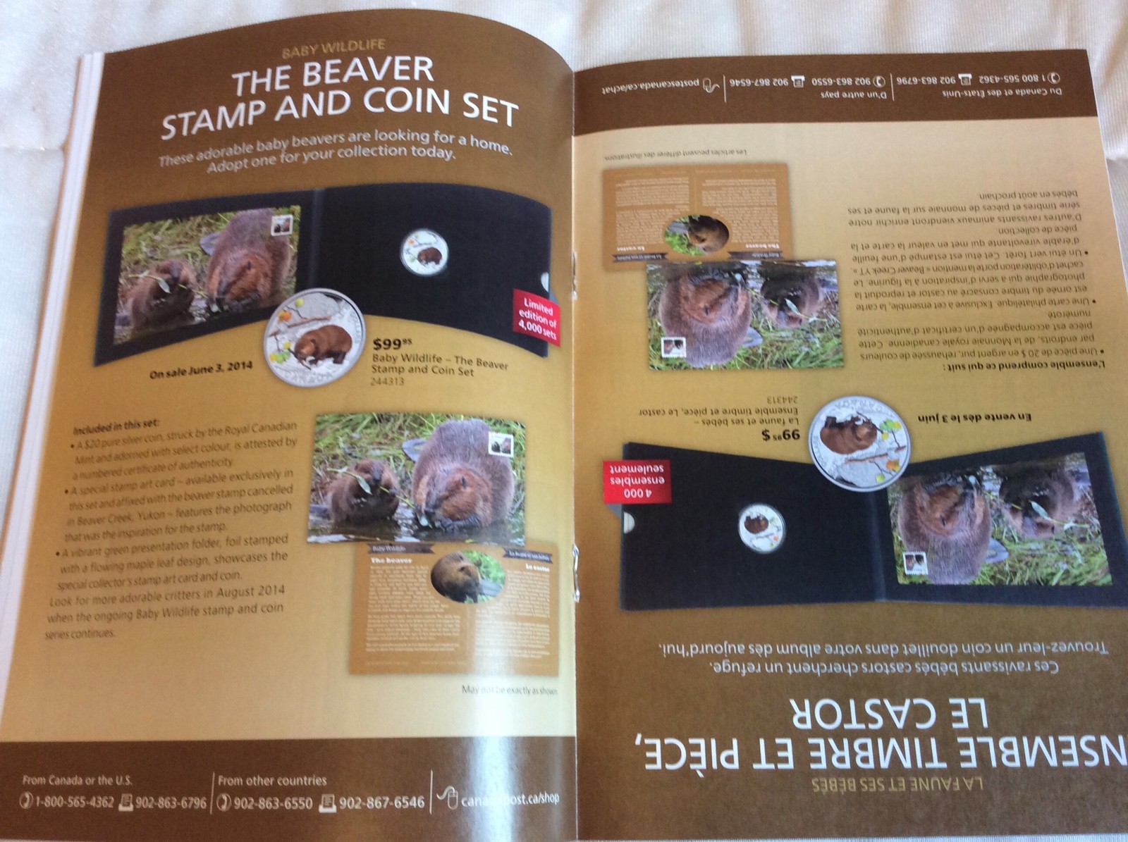 2014 HAUNTED -CANADA POST MAGAZINE DETAILS STAMP & COIN BROCHURE JUNE, CFL,Rare