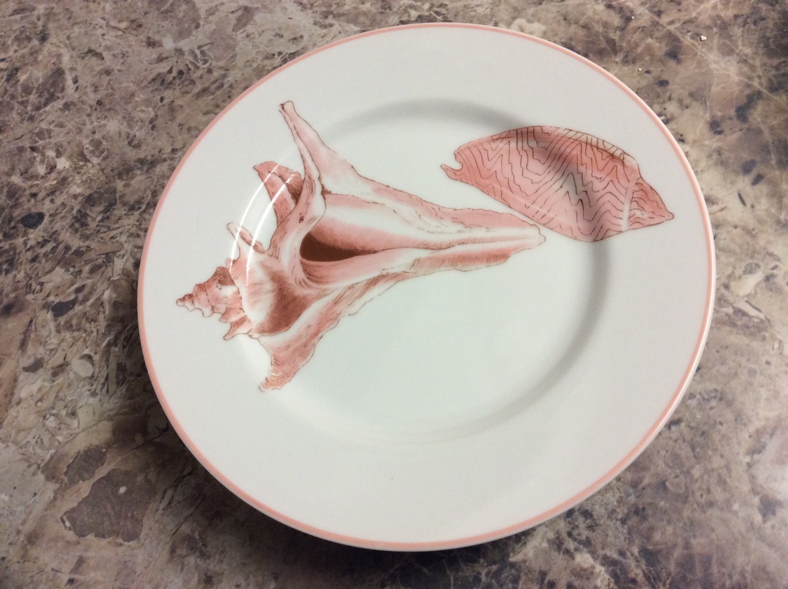 Set of 4 Fitz and Floyd FF Coquille Pink Seashell 7 1/2 inch Lunch Salad Plates