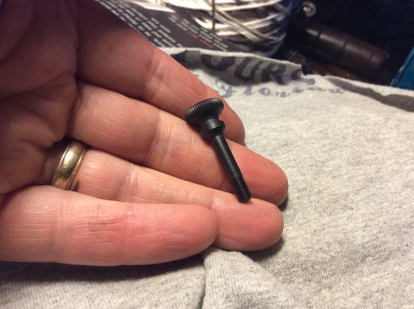 Winchester 1890 62 1906 take down screw. Mint