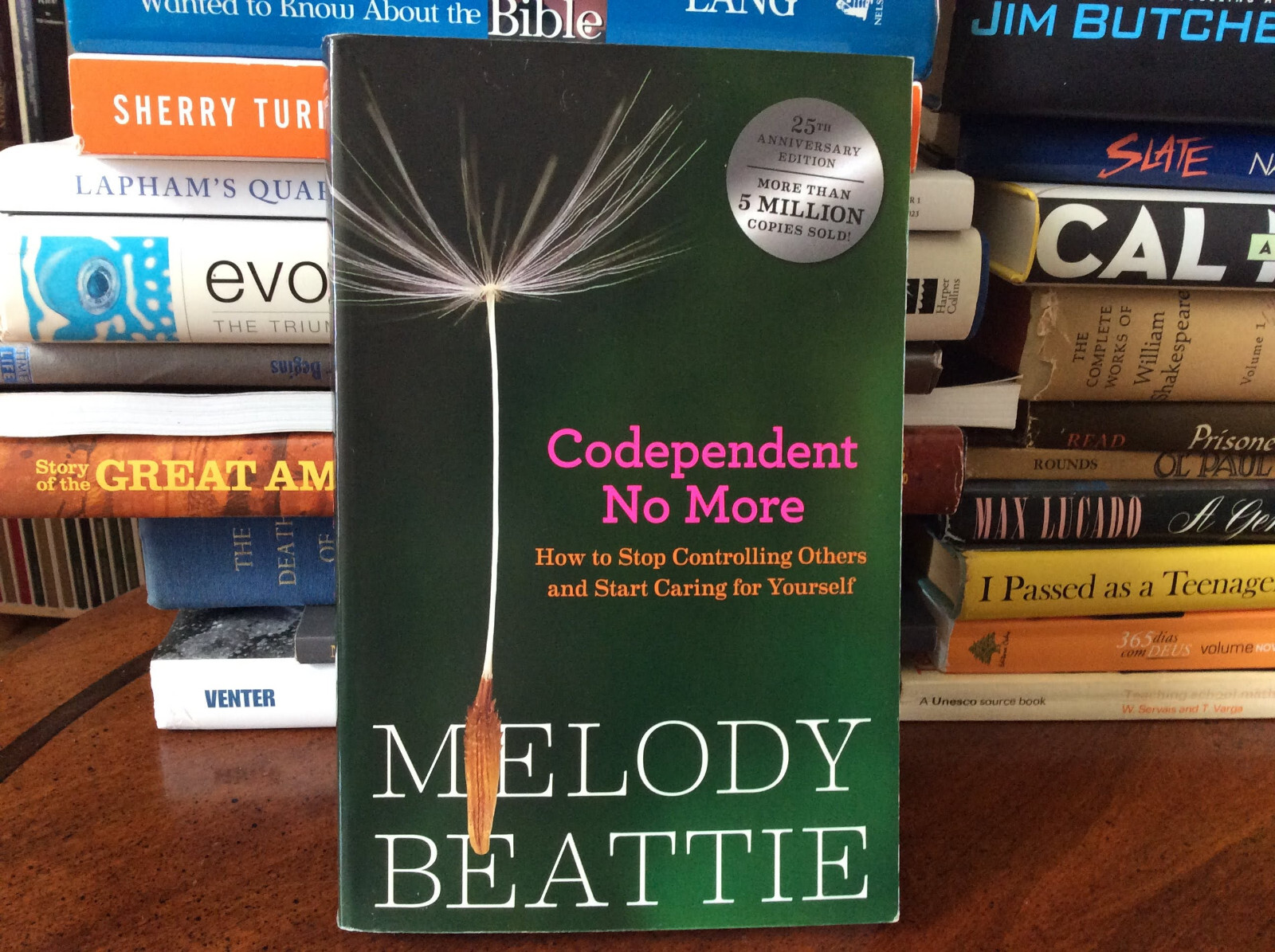 Codependent No More By Melody Beattie (1992 Paperback) VG | eBay