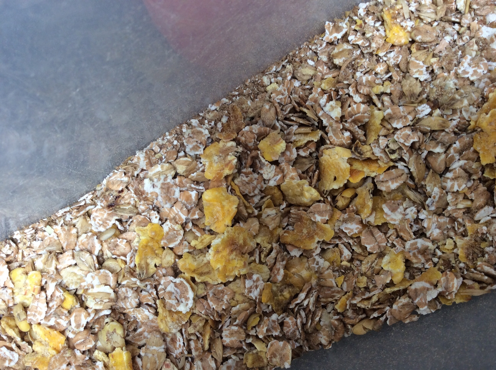 *DISCONTINUED NEW PRODUCT COMING SOON* 15kg VITALIN ORIGINAL MUESLI