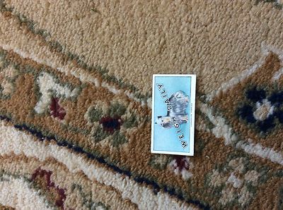 Britisch- automatic-dogs 1st Serie (mit Gewicht Daily No 32 Yorkshire Terrier