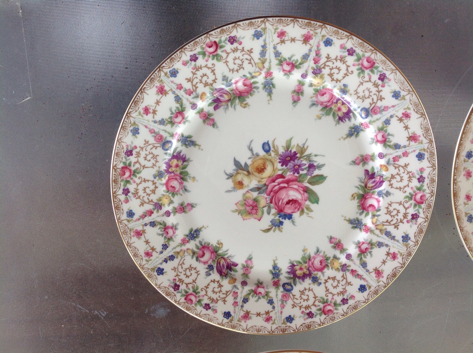 Rosenthale fine China Santa Rosa pattern excellent condition 9 1/2 inches