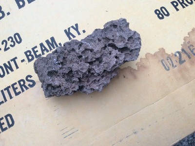 Nice 4” Fossil coral?