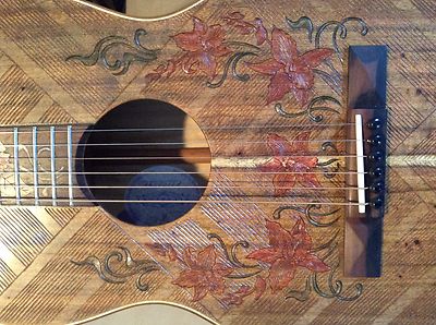 Custom Blueberry Acoustic Guitar!