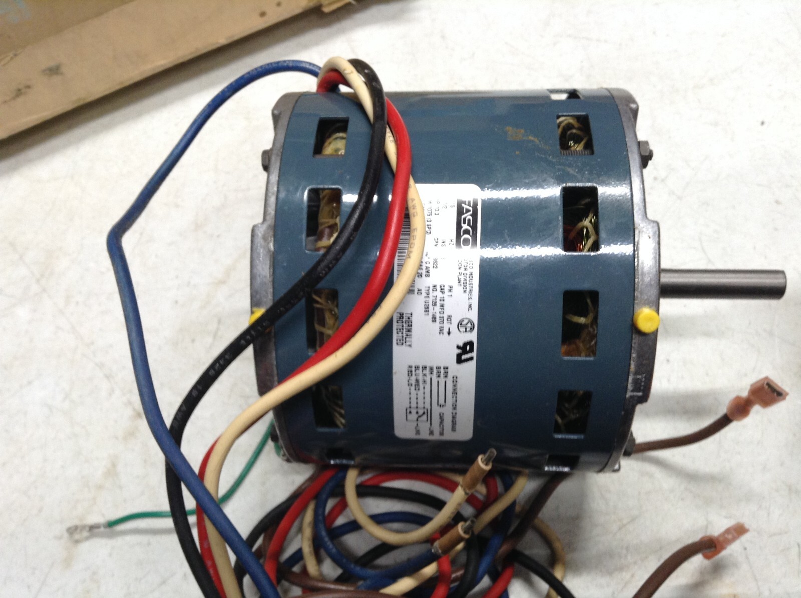 Blower Motor