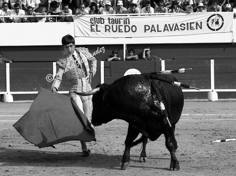 Nimeno Ii  (Christian Montcouquiol)  - Arenes De Palavas -   09/08/86 - 30x40 Cm