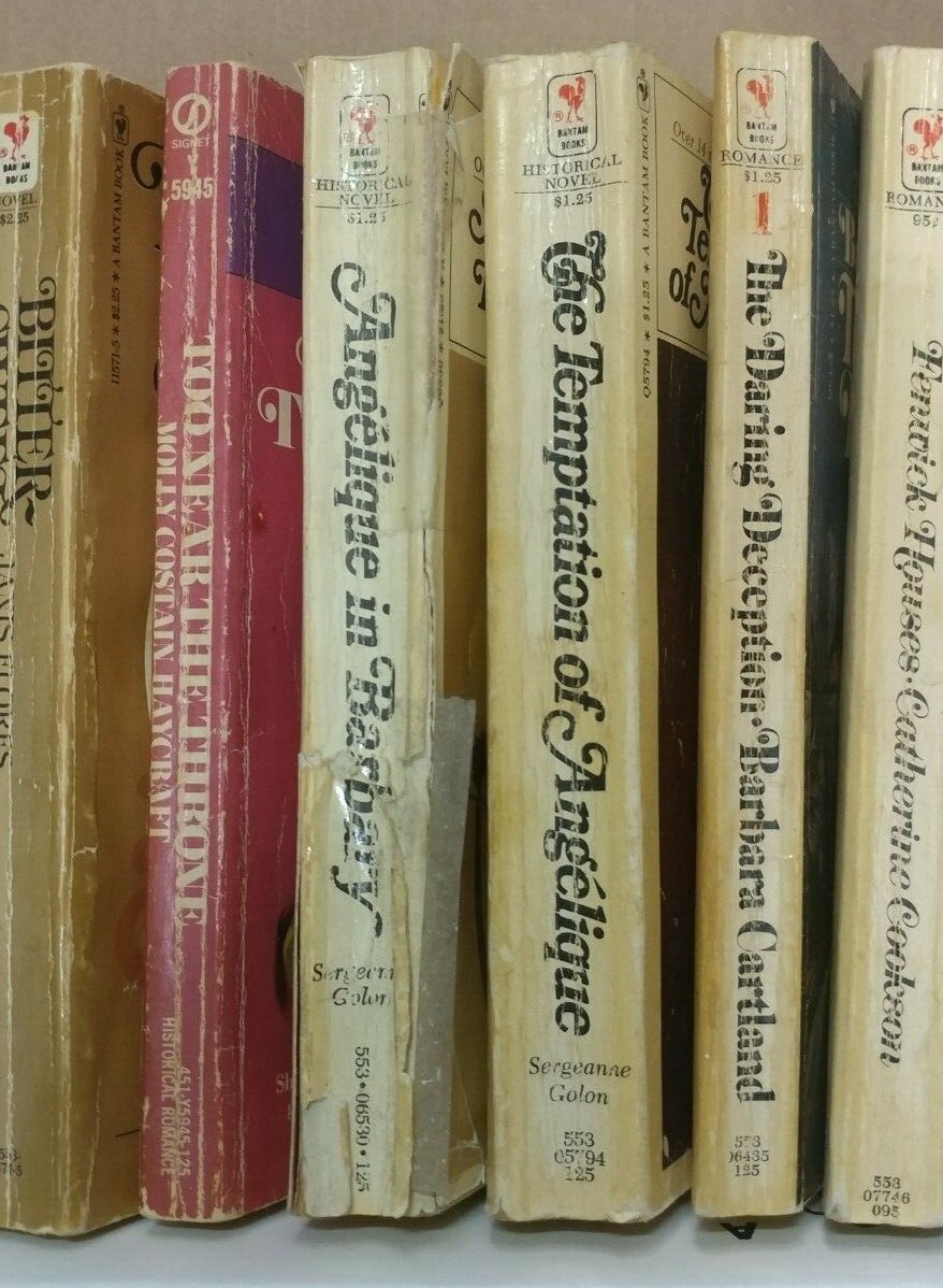 Lot of 12 Bantam Romance Softcover Novels Historical Hunter Loring Brent Book