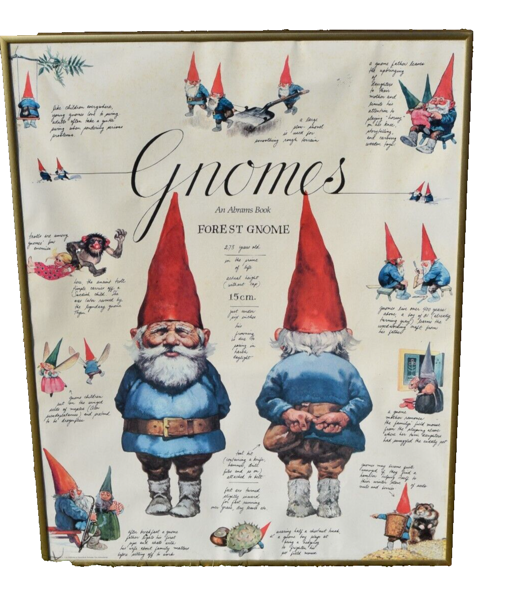 Vintage 1976 Poster An Abrams Book Forest Gnome Framed | eBay