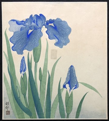 Koson Ohara Woodblock Print Iris Watanabe Verion Early Showa Printing