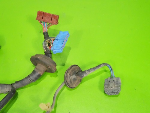 Picture 2