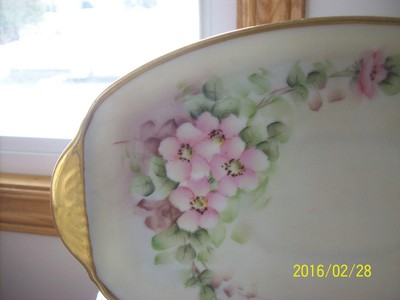 Thomas Bavaria Spring Wild Rose Motif Hand Painted Antique Long Serving Platter