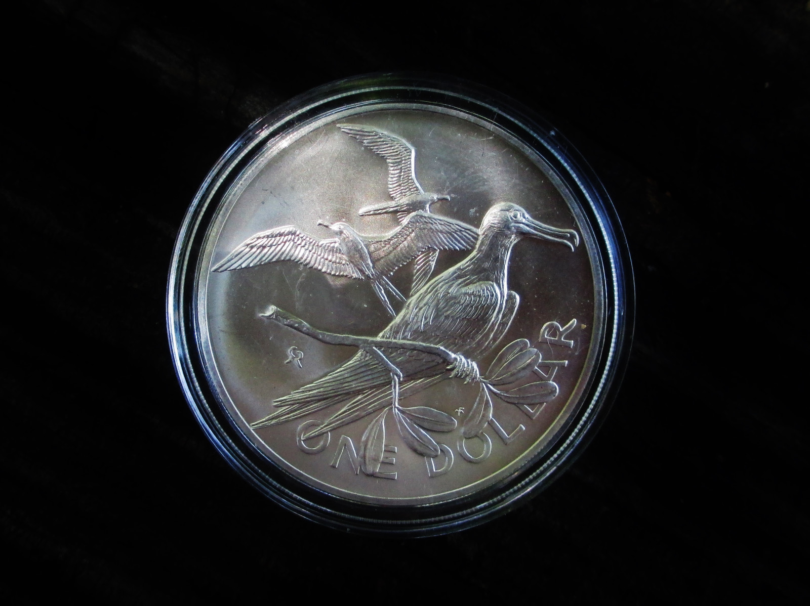 British Virgin Islands Silver: 1973 Dollar 0.925 Fine KM#6a in Airtight 170704