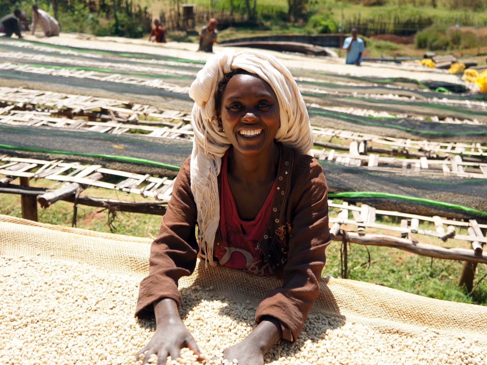 Ethiopia yirgacheffe. Кофе mute. Кофе w эфиопия гедеб. Ethiopia yirgacheffe. Ethiopia yirgacheffe.