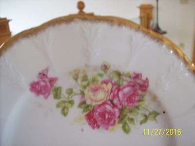 Rose Blossom Floral Spray Gilt Gold Trim Porcelain Decorative Vintage Plate