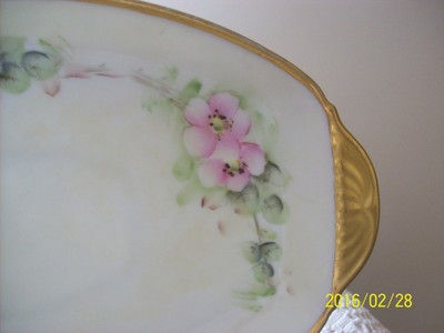 Thomas Bavaria Spring Wild Rose Motif Hand Painted Antique Long Serving Platter