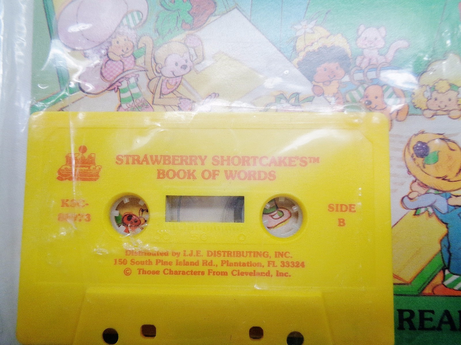 Deluxe Talking Storybook Strawberry Shortcake Book of Words - New In Package